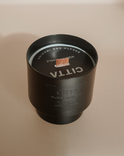 TEAKWOOD VELVET Candle | Leather, Tonka