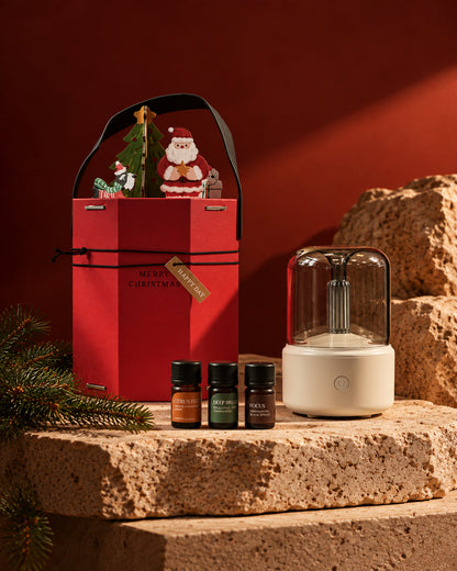 THE HOLIDAY GLOW | Flare Diffuser Gift Set