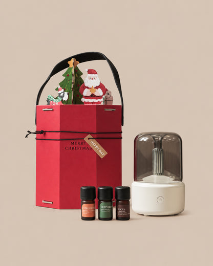 THE HOLIDAY GLOW | Flare Diffuser Gift Set